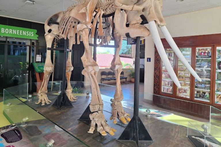 Sabah : Visita a la ciudad de Kota Kinabalu con comida/cenaKota Kinabalu: Visita a la ciudad de Kota Kinabalu