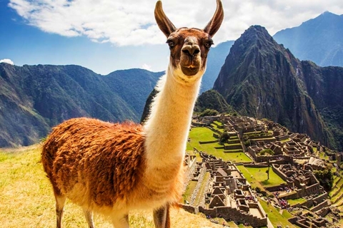 Machu Picchu + Huayna Picchu-berg | Privérondleiding |Machu Picchu + Huayna Picchu-berg | privérondleiding |