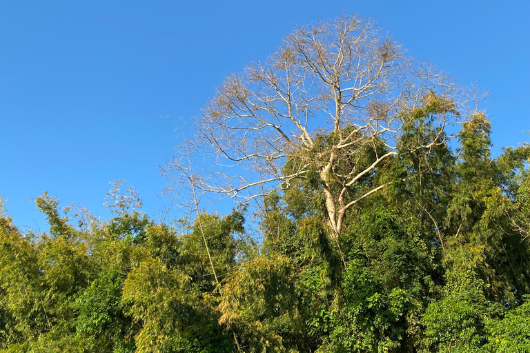 From HCMC: Cat Tien Jungle, Morning & Night safari included Group trip (from 2-5)