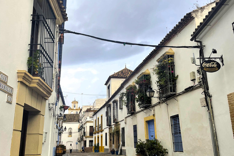 Córdoba: Tour privado de la Historia de los Judíos