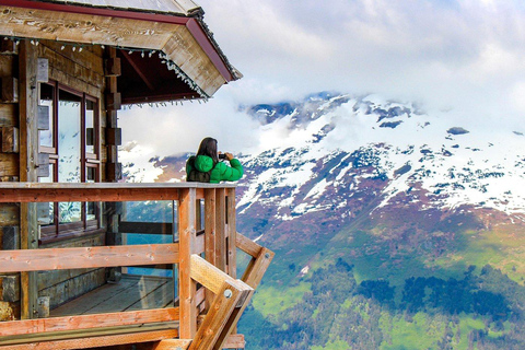 Anchorage: Mount Alyeska Tram & Wildlife Center Tour