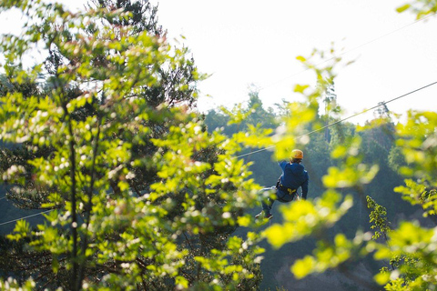 Zanzibar: Masingini Forest Zipline Adventure with Pickup