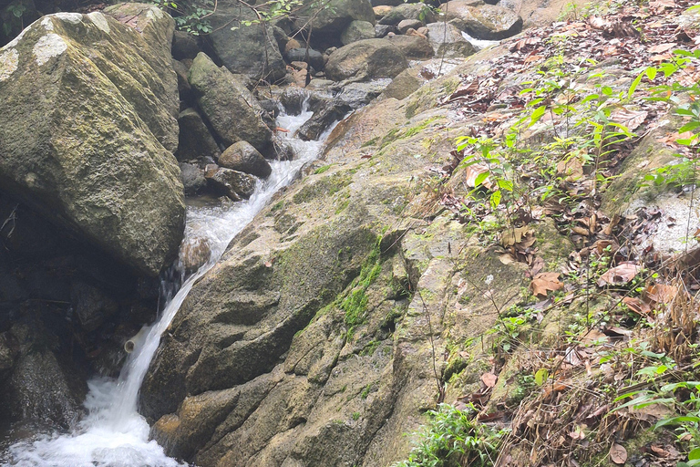 Penang Private Tour ~ Magical Nature, Heritage & Street Art