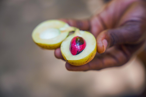 Spice Farm - pimentez votre vie à Zanzibar