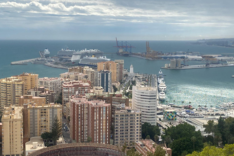马拉加：圣诞夜之旅和嘟嘟车灯光之旅