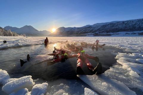 Tromsø: Arctic Ocean Floating Camp Rescue Suit Swimming Daytime Experience