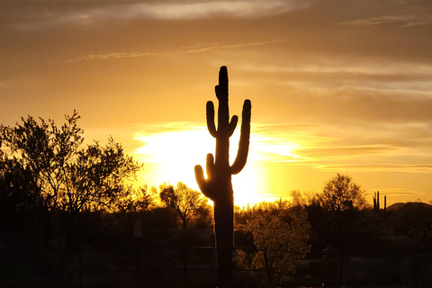 Phoenix: ATV Tour with Panoramic Views ATV Tour with Panoramic Views 2-Seater (Driver Only)