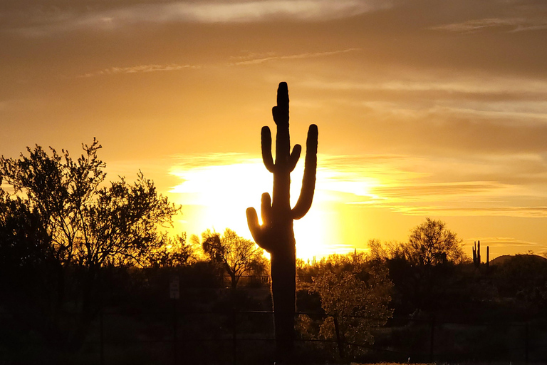 Phoenix: ATV Tour with Panoramic Views ATV Tour with Panoramic Views 2-Seater (Driver Only)