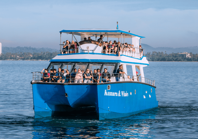 Walvisspotten - Mirrissa