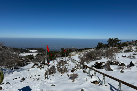 Randonnée au Hallasan sur l'île de Jeju, la plus haute montagne de Corée du SudJeju Hallasan ; randonnée pédestre des fleurs de neige avec déjeuner