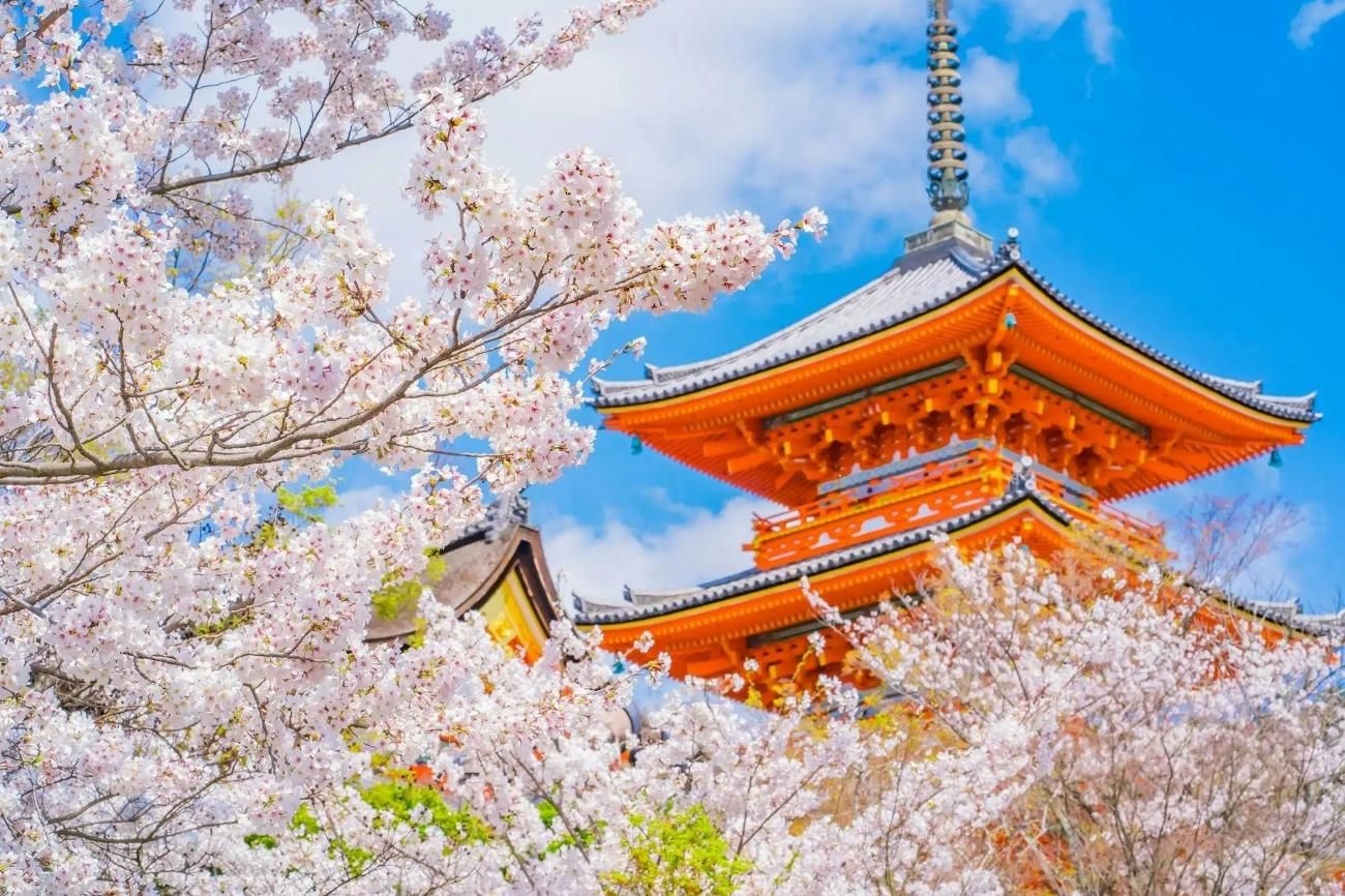 Kyoto: Versteckte Kirschblüten-Tour – Nishiyama 6 Tempel