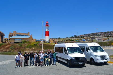 Santiago: Valparaíso Cruise Port Transfer & Vineyard Tour
