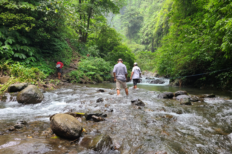 Bali Hidden Trekking, Wasserrutsche, Sekumpul, &amp; Fiji WasserfallAbholung vom Hotel und Rücktransfer zum Hotel inbegriffen