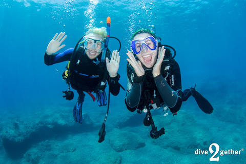 Plakias: Try Scuba Diving, private experience - from 8yrsHalf day Scuba Diving experience - no experience needed