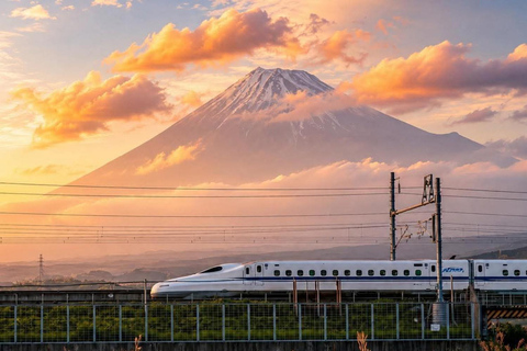 Tokyo: Mt Fuji Full-Day Private Tour of Top Best Places