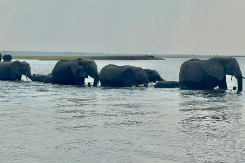 Livingstone: Chobe River Premium Photo Cruise