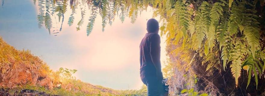 Île Isabela : Campo Duro, grottes de Sucre et point de vue