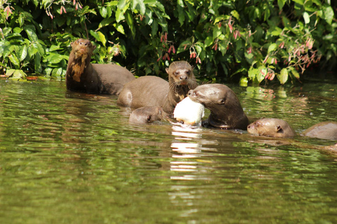 Da Cusco: 5 giorni di esplorazione e connessione nella Zona Riservata del ManuDa Cusco: 5 giorni di esplorazione e connessione nella Zona Riservata di Manu