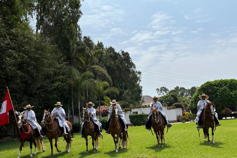 From Lima: Peruvian Paso Horse Show with Lunch and Traditional Dances From Lima, a Peruvian Paso Horse Show with lunch and traditional dances