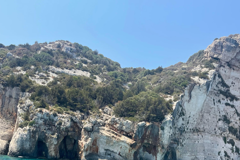 Zante: Tour di mezza giornata di esplorazione del mare e della terra highlights