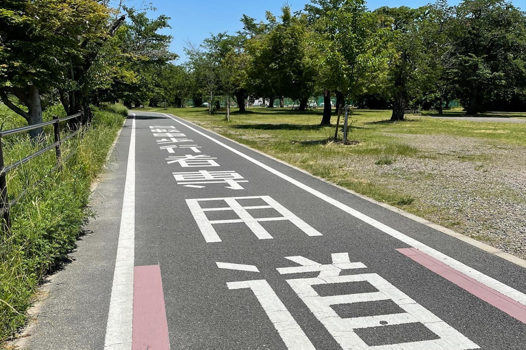 Kyoto: Alugue uma bicicleta de estrada em Kyoto e devolva em Osaka!