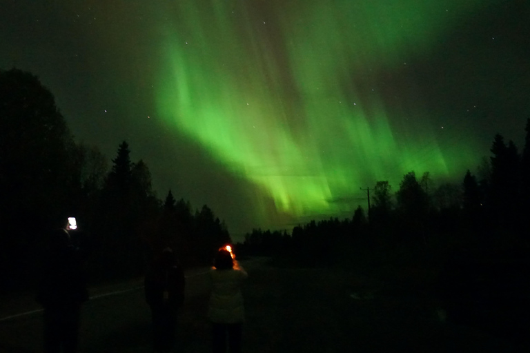 Rovaniemi Northern Lights – The Real Guaranteed Hunt