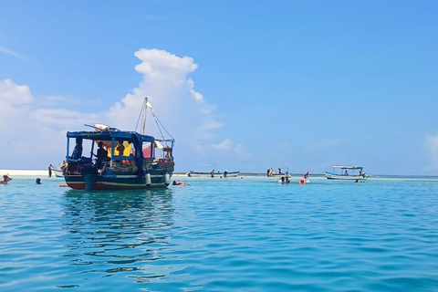 Mombasa : Excursion à la rencontre des dauphins de Wasini