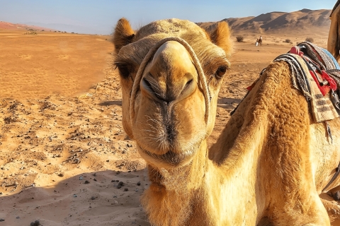 Muscat: Wadi Bani Khalid and Desert Guided Group Tour