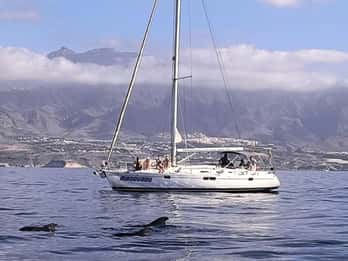 Tour di 3 ore con osservazione delle balene Beneteau Oceanis 440
