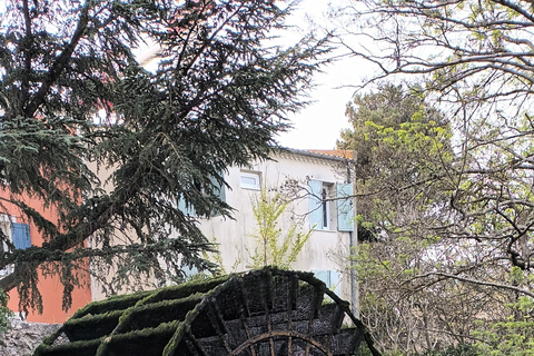 Le Thor, Châteauneuf De Gadagne, St-Saturnin Les Avignon de bicicleta elétricaLE THOR, CHATEAUNEUF DE GADAGNE, ST-SATURNIN DE BICICLETA COM ASSISTÊNCIA ELÉTRICA