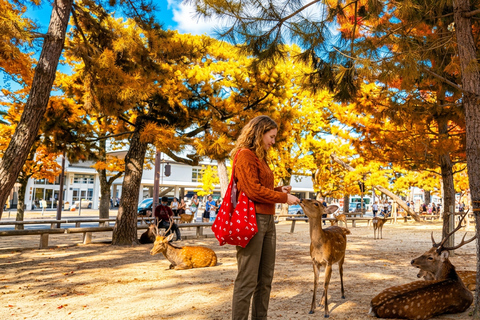 Osaka: Nara, Kyoto, and Arashiyama Day Trip with Train Ride Small Group (1–13 People, Meeting Point Pickup)