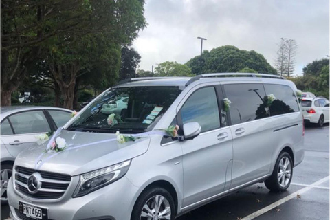 Auckland: Stadshotelvervoer van/naar cruiseschip in minibus