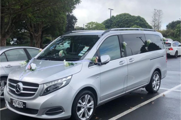 Auckland: Stadshotelvervoer van/naar cruiseschip in minibus