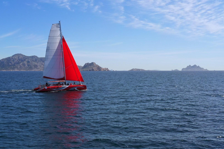 Marsella : Crucero en Catamarán por las Calanques con Comida y Vino