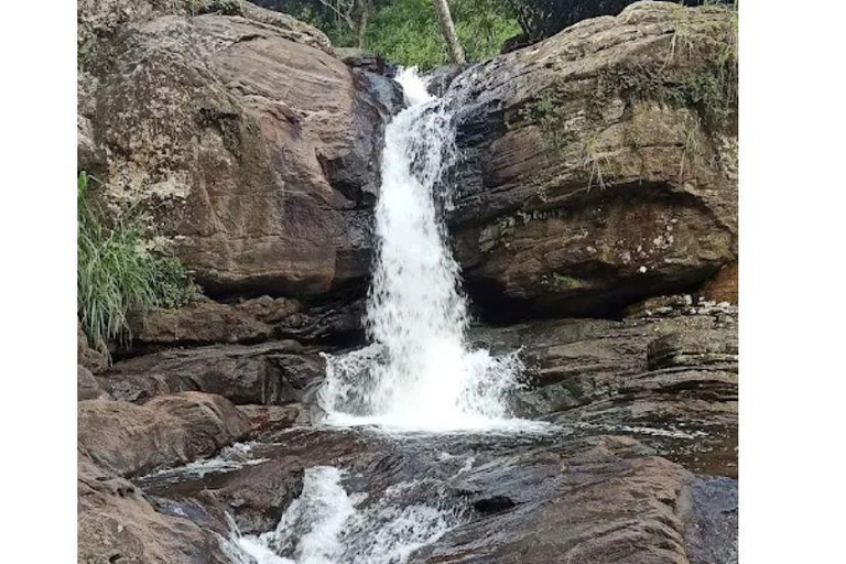 Kandy: Hanthana Katusukonda Hike, Tea & Waterfall Day Tour