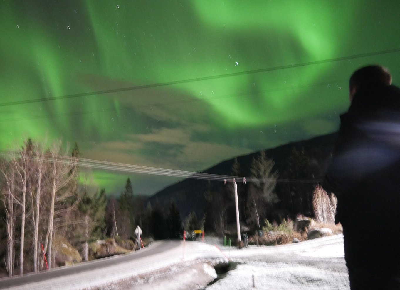 Harstad/Narvik/Tjeldsund: Nordlys-sightseeing i bil