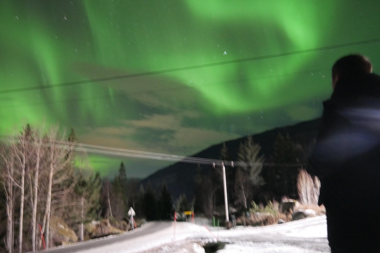 Harstad/Narvik/Tjeldsund: noorderlicht bezichtigen met de auto