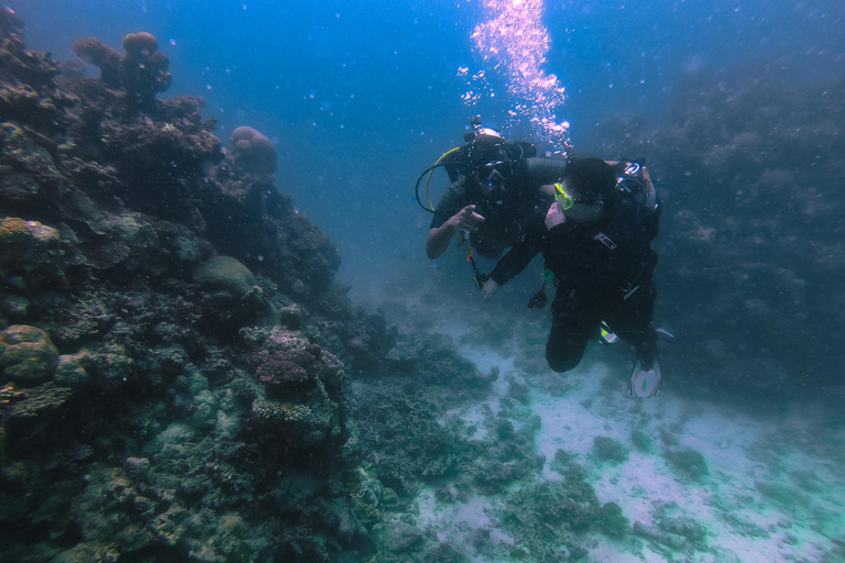 Jeddah beach dive (Licensed)