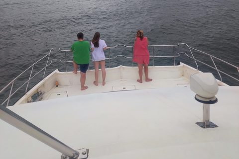 Mirissa: tour in barca con osservazione balene al tramonto e musica