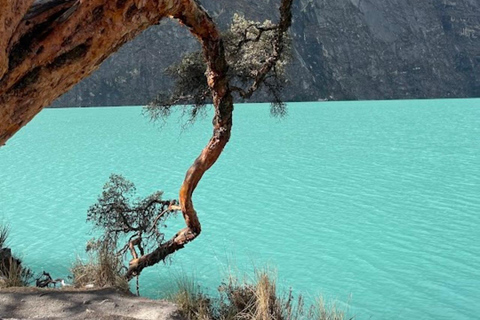 Huaraz: Full Day Laguna 69 + Laguna Llanganuco