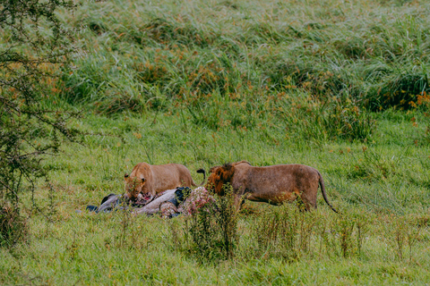 Kigali: Akagera National Park Safari with Boat Cruise