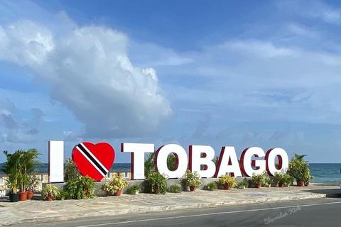 Tobago: Island Tour with Rainforest Drive and Scenic Lookout
