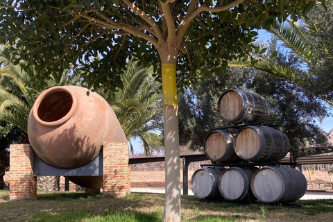 Alicante: Wycieczka z degustacją wina i transferem