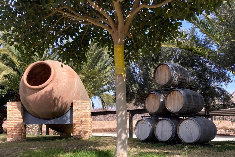 Alicante: Wine tasting tour with transfer
