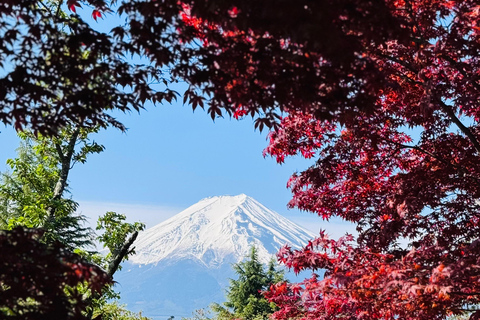 Tokyo: Private Daytrip to Mount Fuji - Fully Customizable Mt Fuji Private Luxury Van Tour (Customizable Experience)