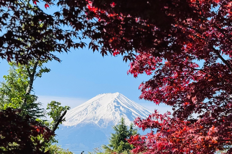 Tokyo: Private Daytrip to Mount Fuji - Fully Customizable Mt Fuji Private Luxury Van Tour (Customizable Experience)