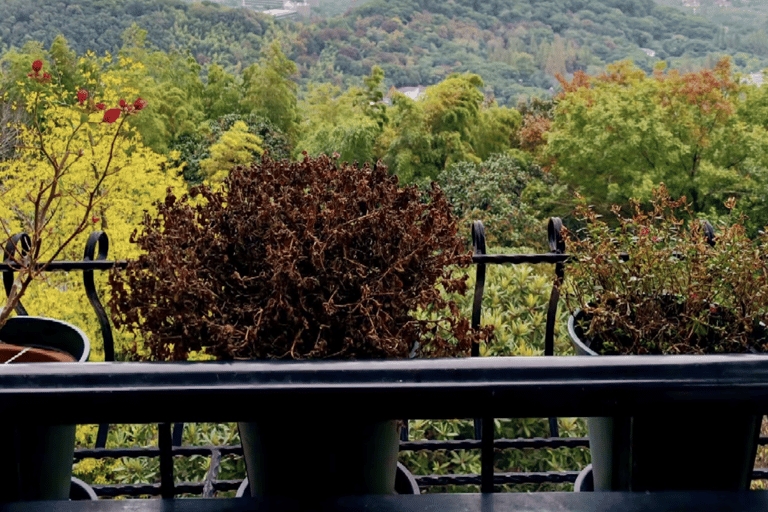 Shanghai: Sheshan Hill Private Tour with Hotel Pickup