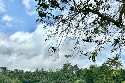 Bali: ATV adventure, Ayung River Rafting & Rice Fields