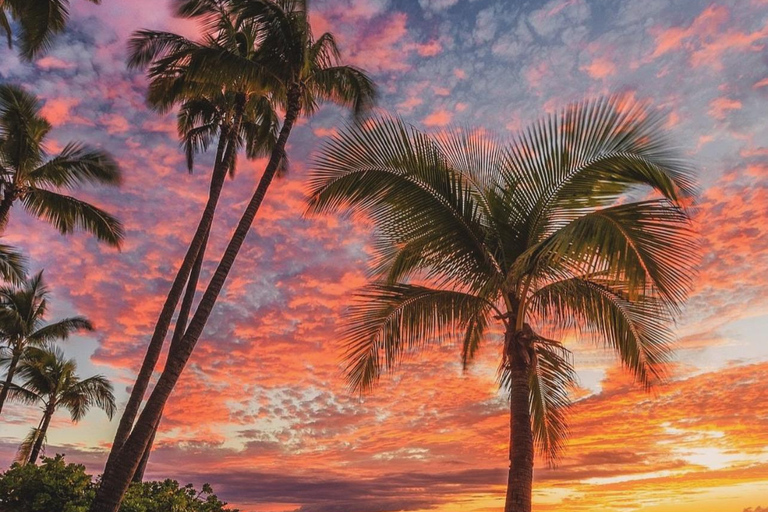 Day Trip from Sigiriya to Trincomalee: Temples, Beaches