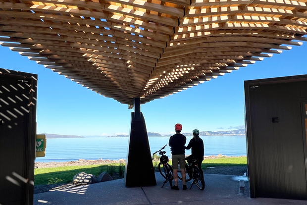 Wellington: traghetto e poi giro del porto in bici elettrica